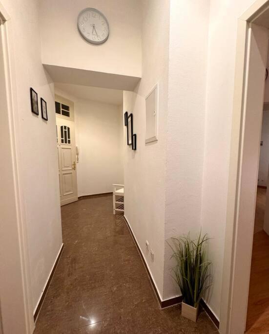 Apartment 2 Raum Direkt Am Suedring Magdeburg